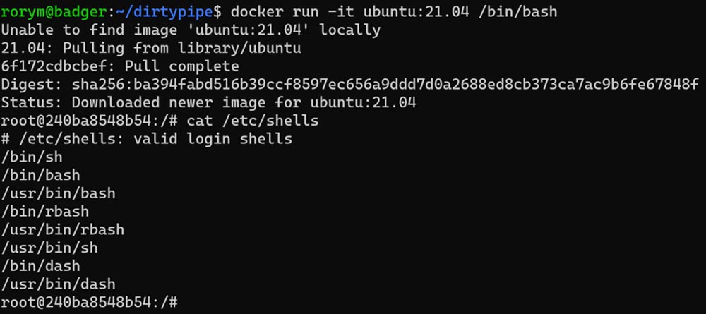 running a new container and showing /etc/shells content