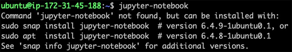The output following our registration of the ‘jupyter-notebook’ snap name 