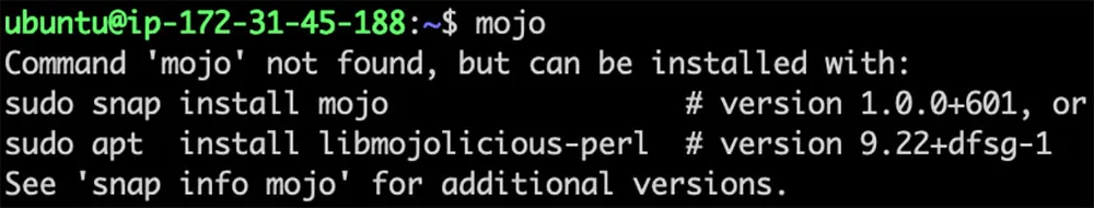 Package suggests both options, as in the case of the ‘mojo’ command: