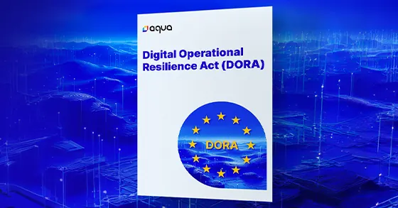 Digital Operation Resilience Act (DORA):How Financial Institutes Meet the Standard