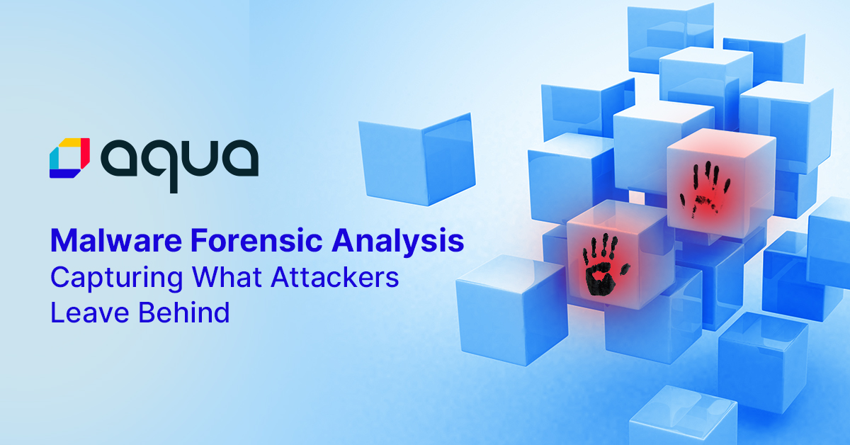 Malware Forensic Analysis: Capturing What Attackers Leave Behind