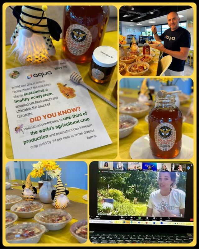 🐝Highlights of our recent #WorldBeeDay celebration!🐝

 
From an educational session on how to build a bee friendly garden to a lunch of Açaí Bowls with fresh honey from a local Bee Farm, it was a wonderful day of learning how we can support sustainability in our day-to-day lives. ✨